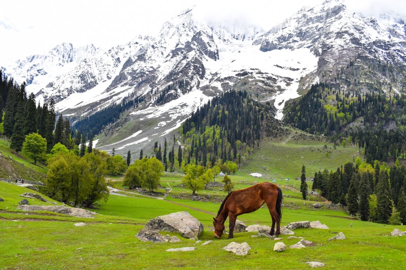 Kashmir Paradise on Earth