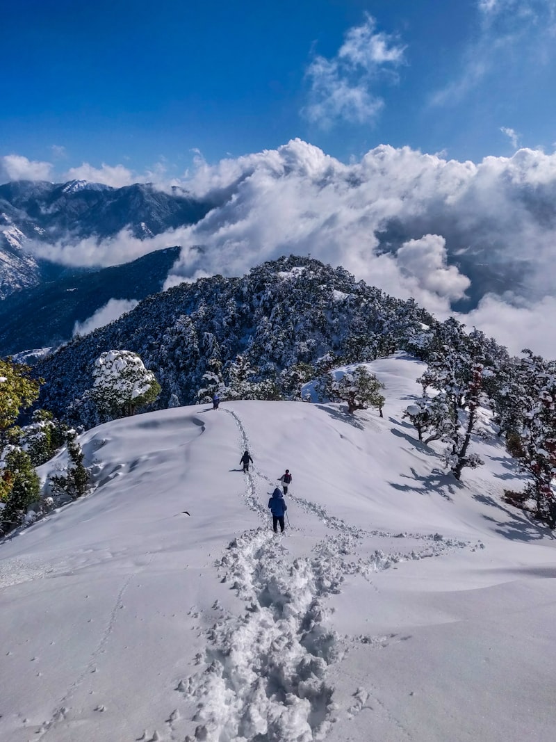 Chardham & Kedarnath Yatra